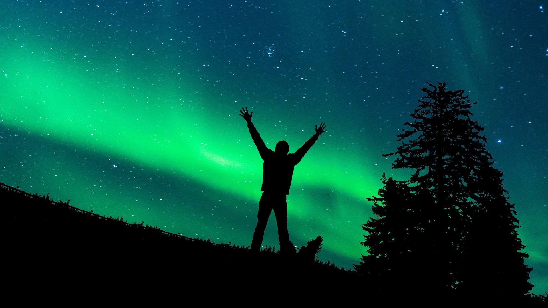 Alaska, zorza polarna