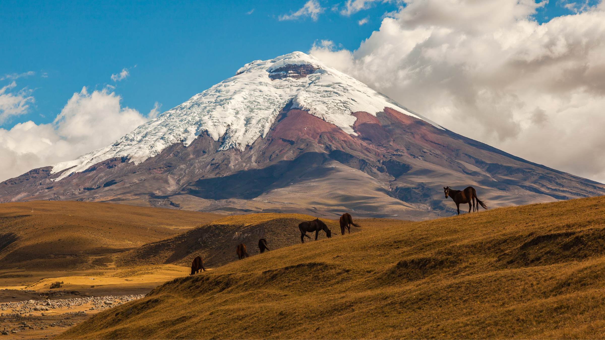 Ekwador, Cotopaxi