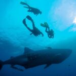 Galapagos, nurkowanie