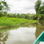 Kostaryka, Tortuguero