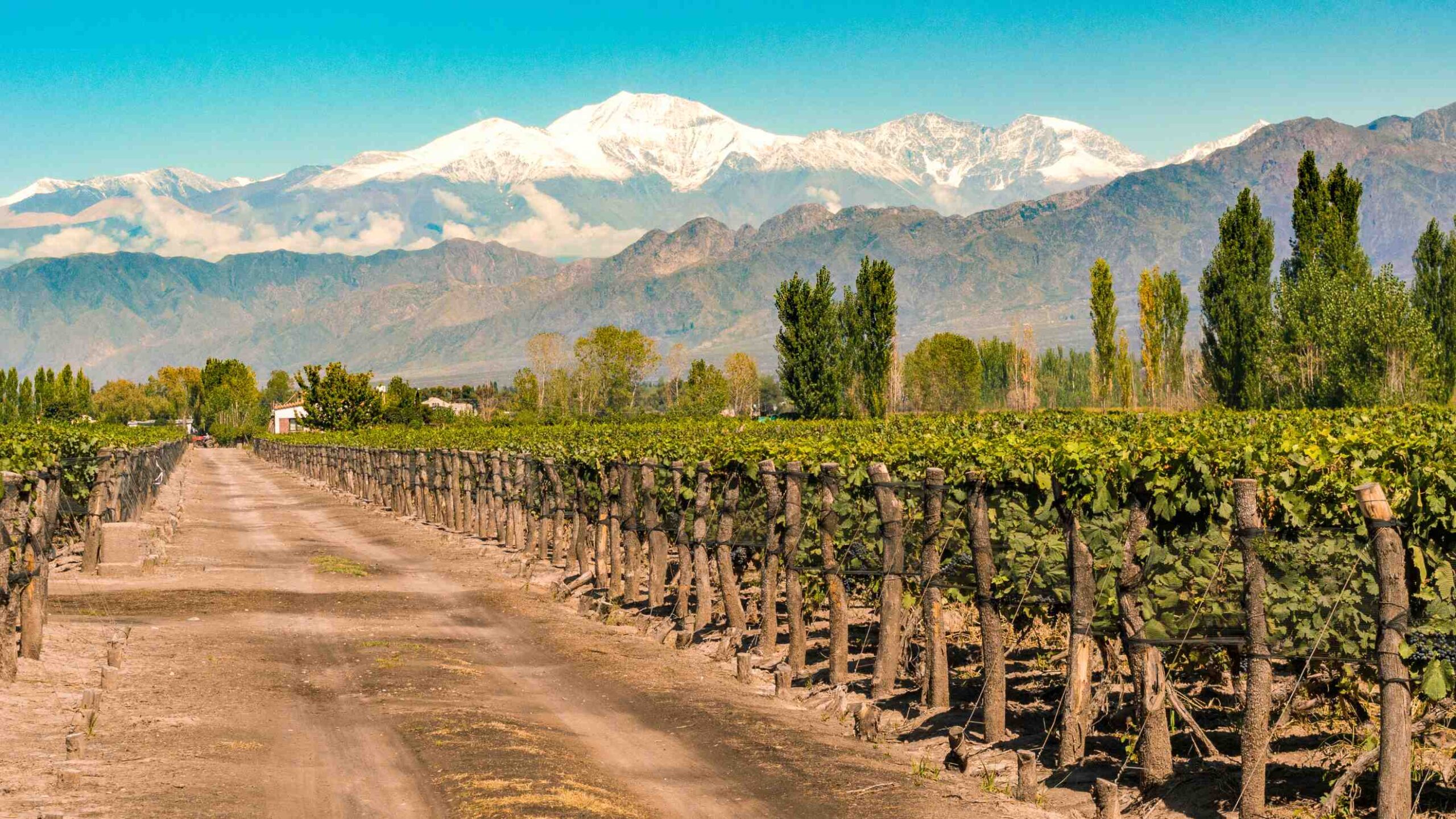 Argentyna, Mendoza