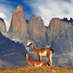 Chile, Park Narodowy Torres del Paine