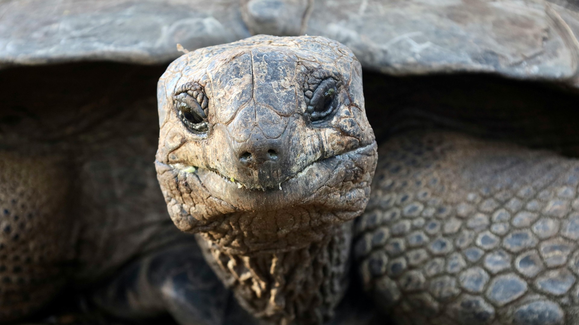 Zanzibar, prison island