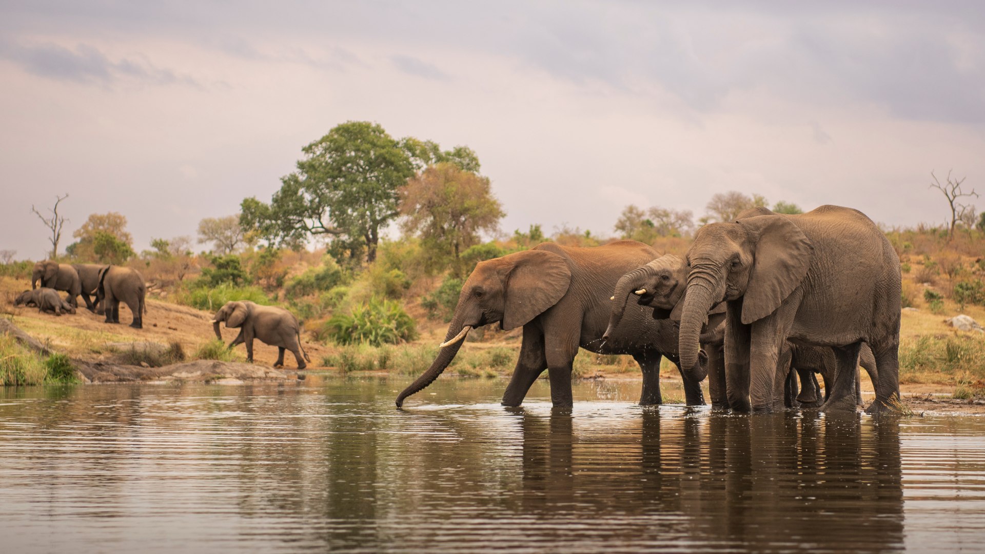 RPA, Park Narodowy Krugera