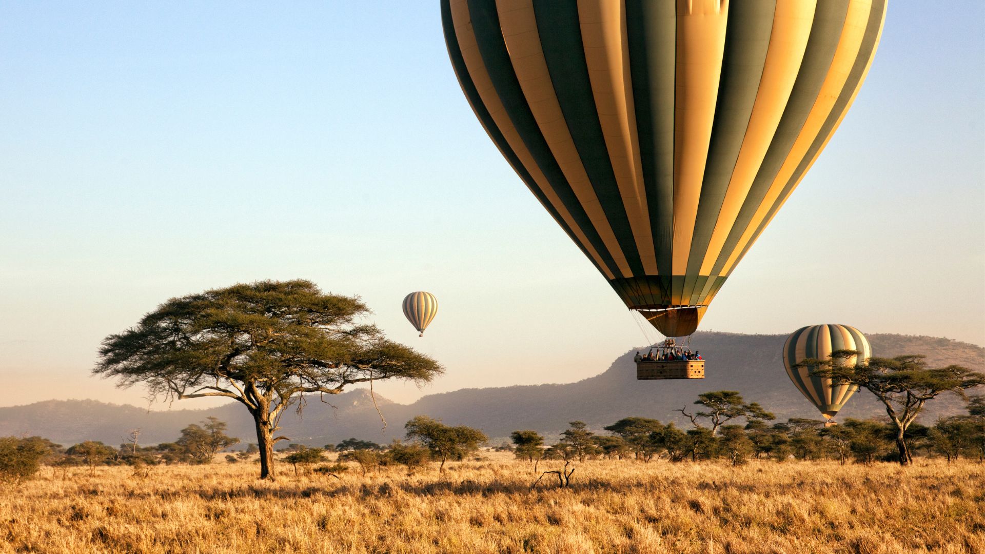 Tanzania oferta, Tanzania wycieczka, Tanzania safari