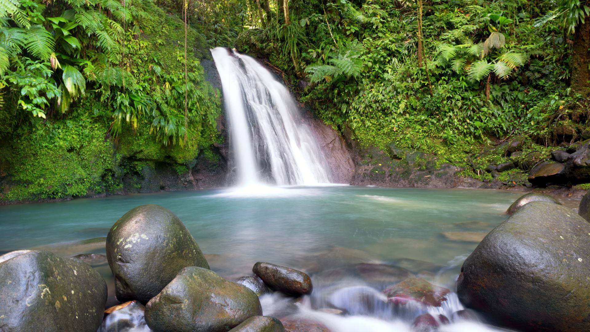 Gwadelupa oferta, Gwadelupa wycieczka, Gwadelupa Park Narodowy Guadeloupe