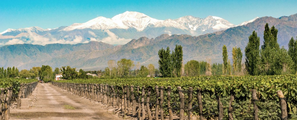 Argentyna, Mendoza