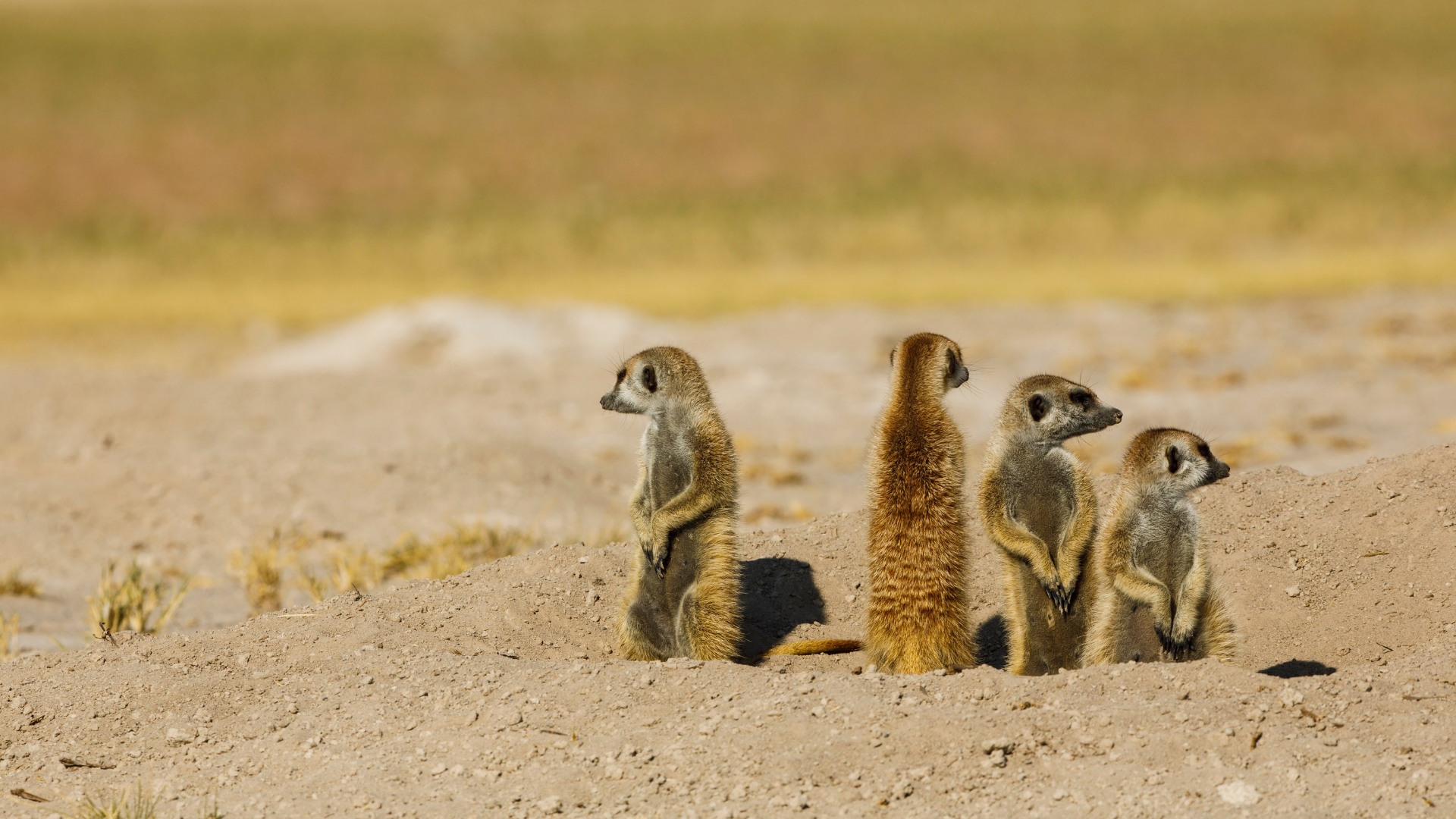 Botswana, Makgadikgadi Pans