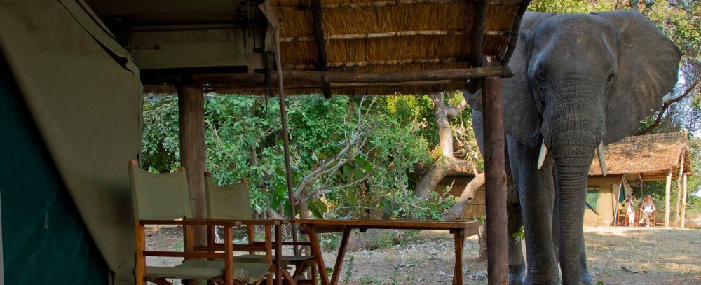 Zambia oferta, Zambia wycieczka, Zambia zakwaterowanie