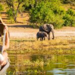 Botswana oferta, Botswana wycieczka, Botswana safari